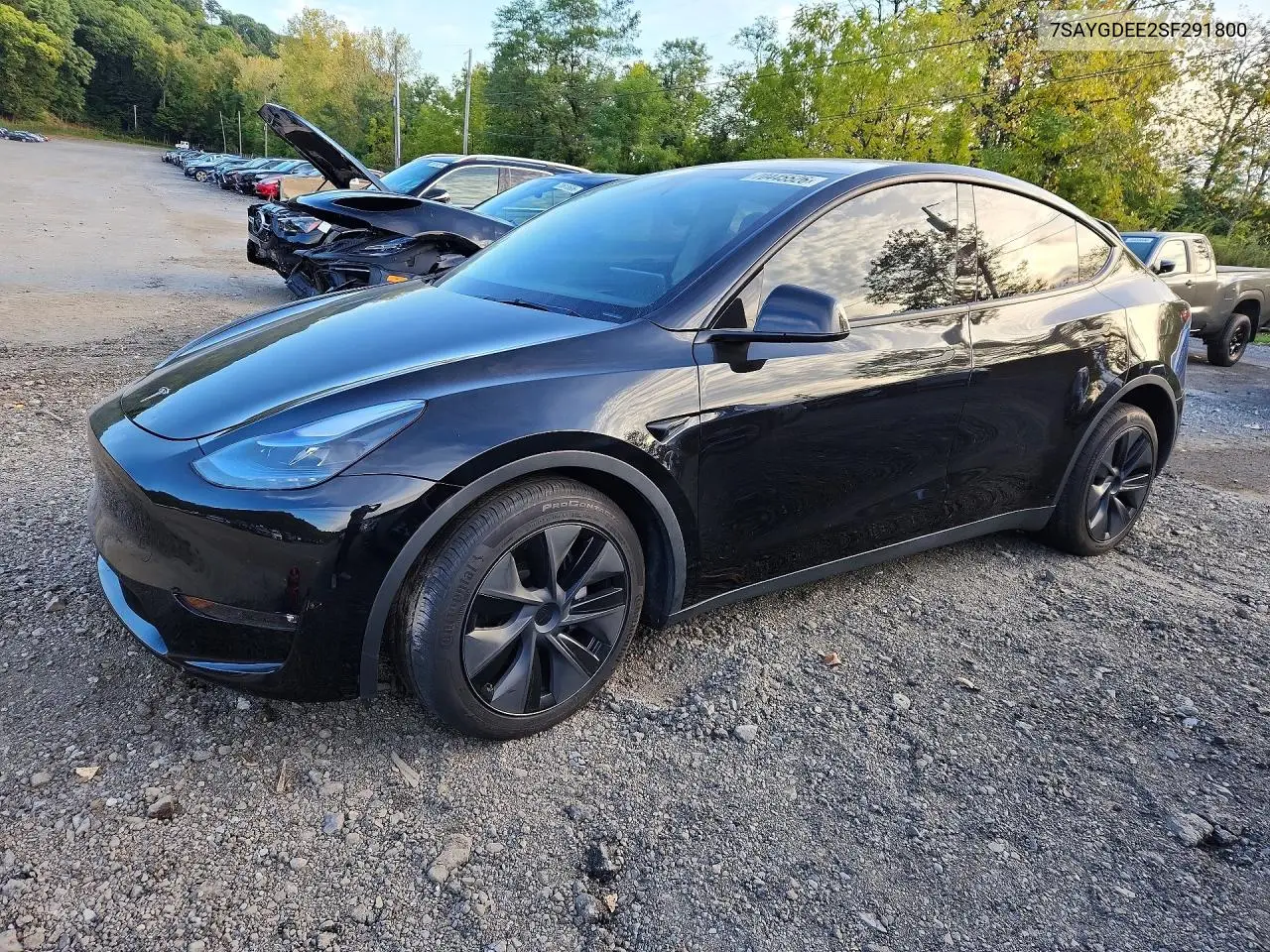 2025 Tesla Model Y