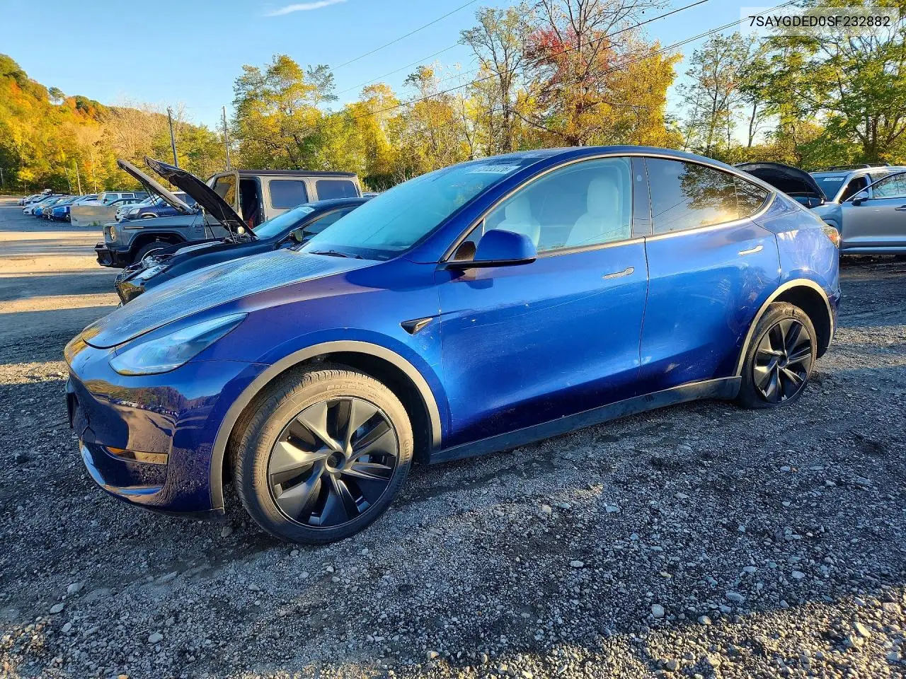 2025 Tesla Model Y