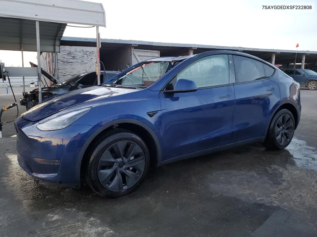 2025 Tesla Model Y