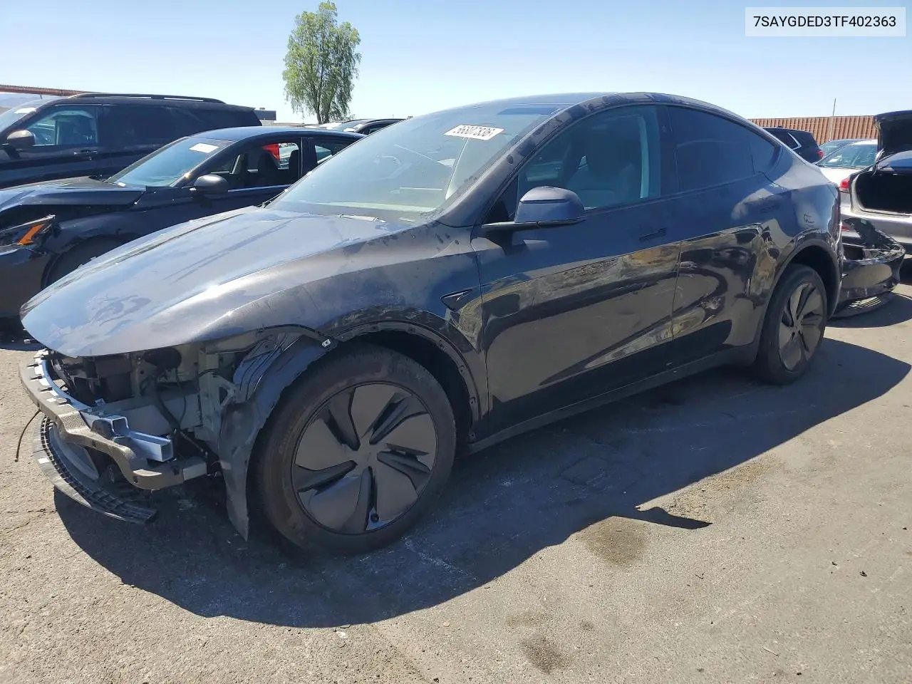 2026 Tesla Model Y