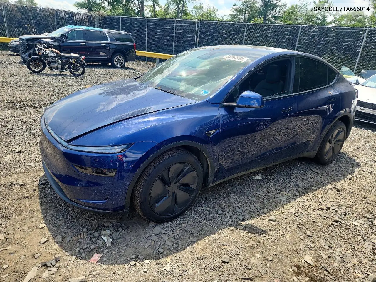 2026 Tesla Model Y