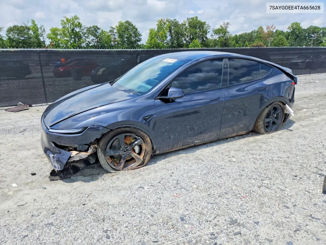 2026 Tesla Model Y