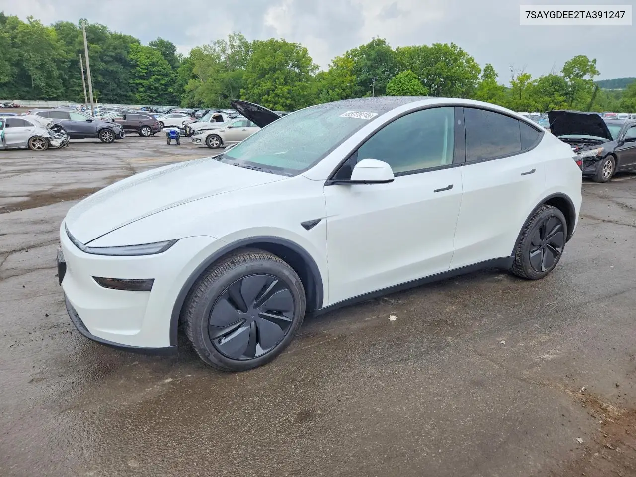 2026 Tesla Model Y