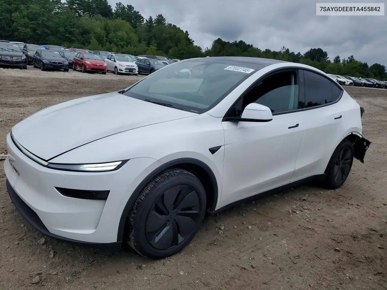 2026 Tesla Model Y
