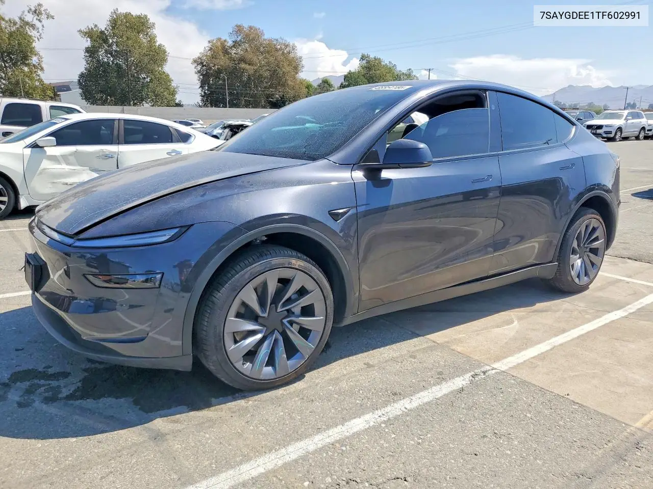 2026 Tesla Model Y