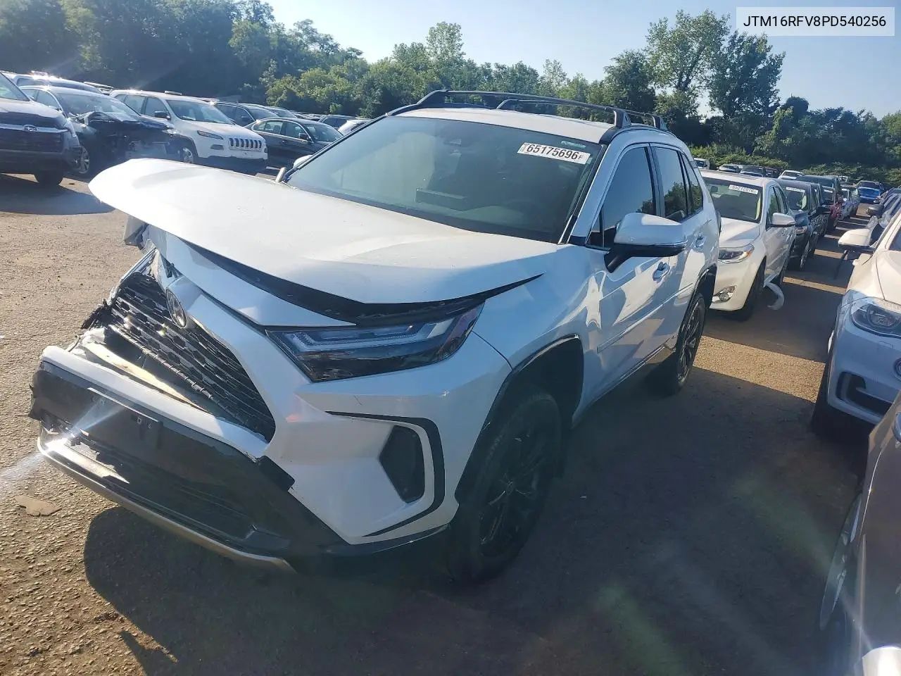 2023 Toyota RAV 4
