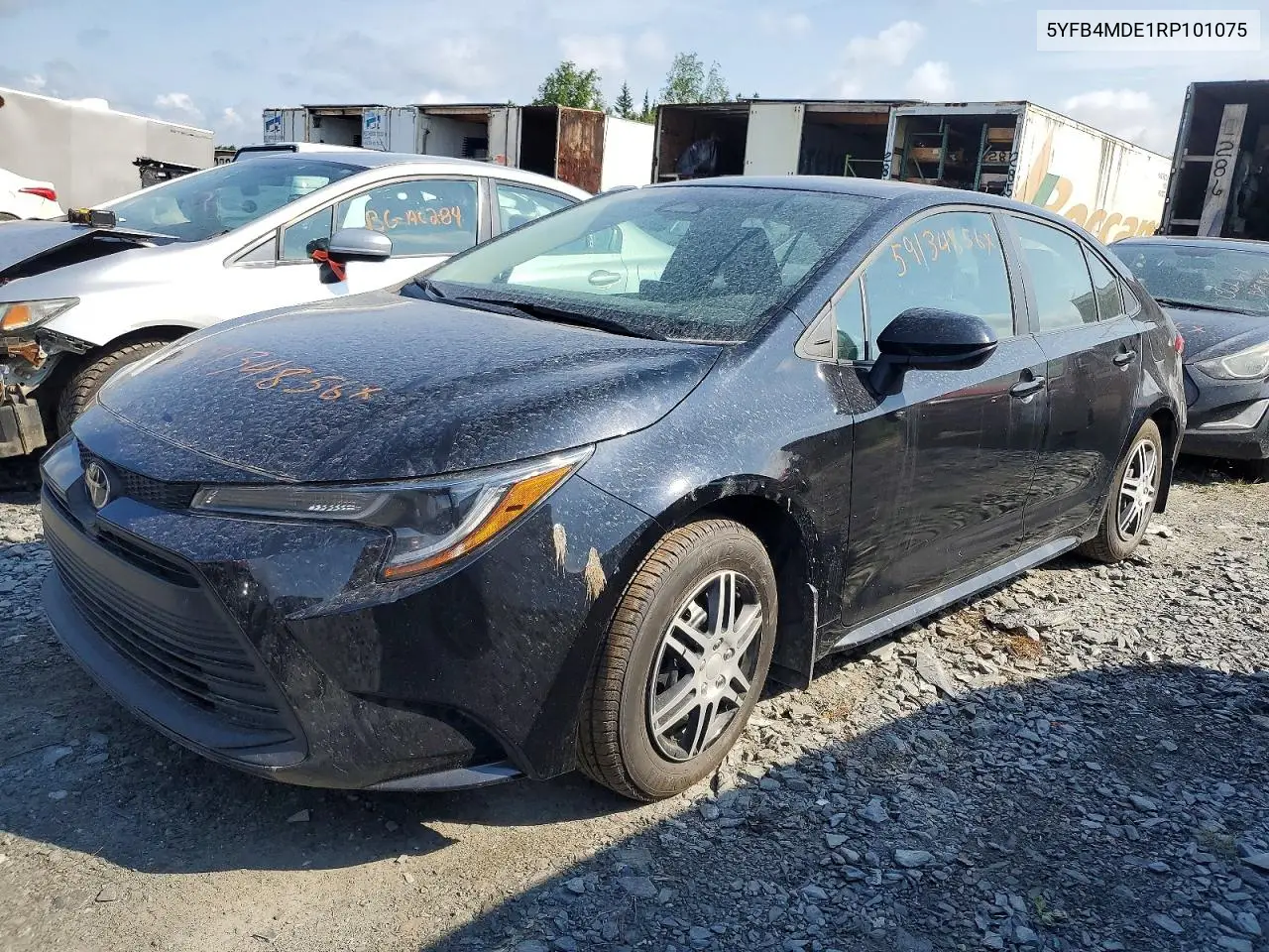 2024 Toyota Corolla