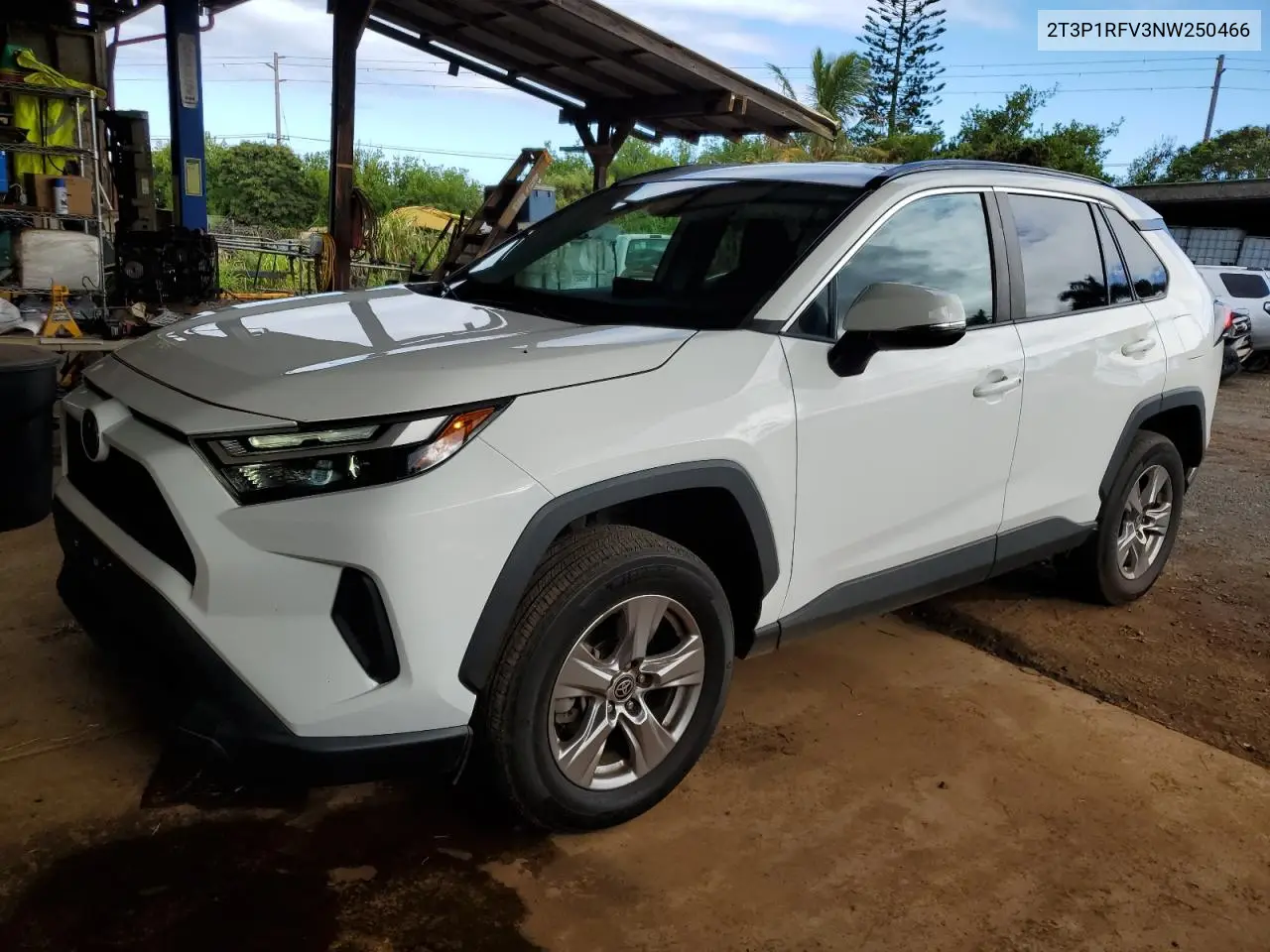 2022 Toyota RAV 4
