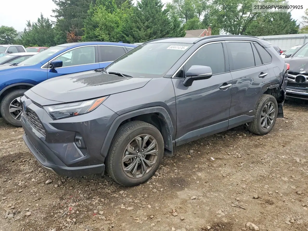 2024 Toyota RAV 4