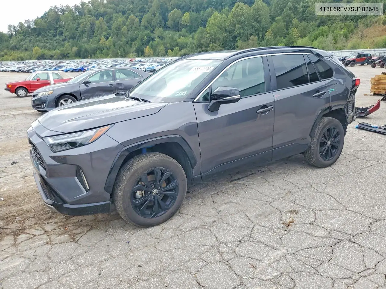 2025 Toyota RAV 4