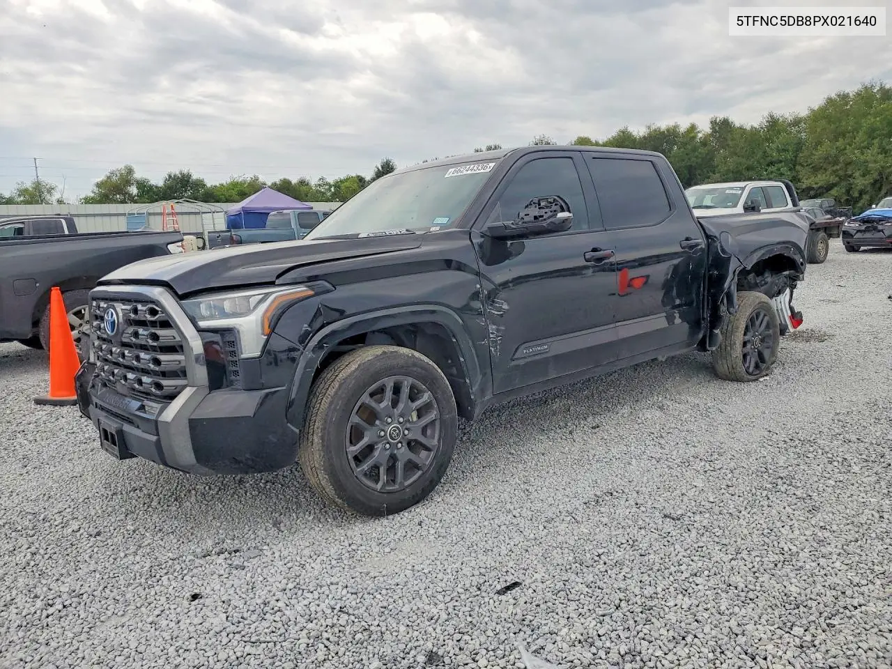2023 Toyota Tundra