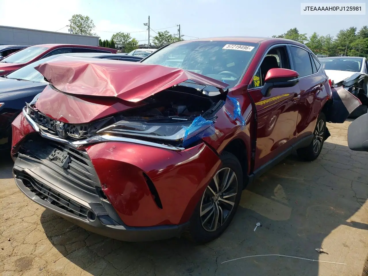 2023 Toyota Venza