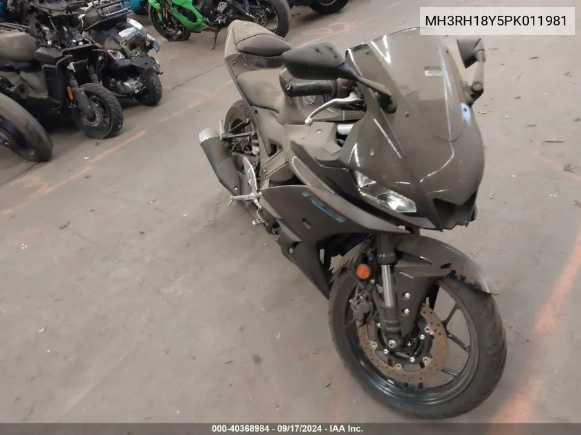 2023 Yamaha yzf