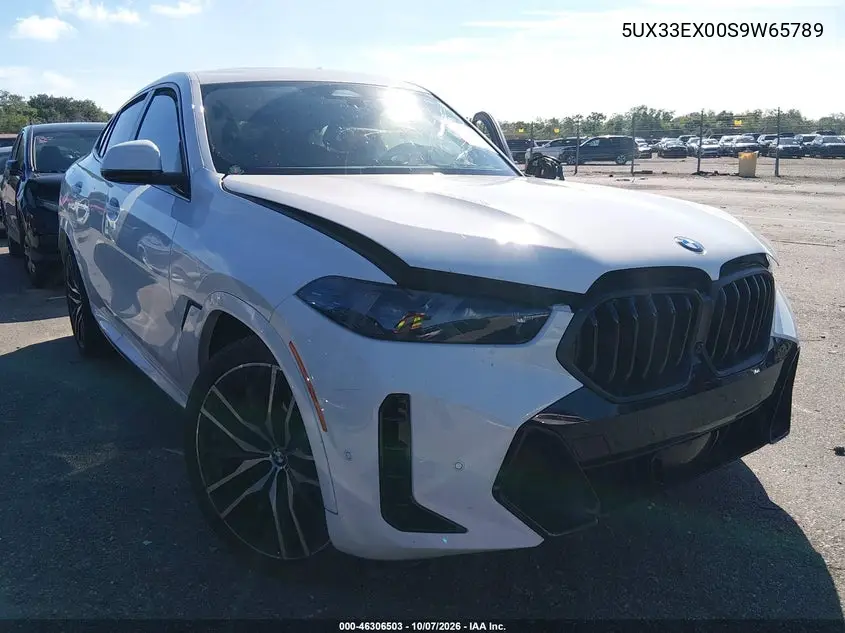 2025 BMW X6