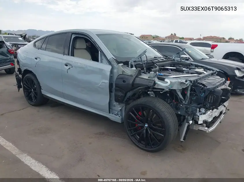 2026 BMW X6