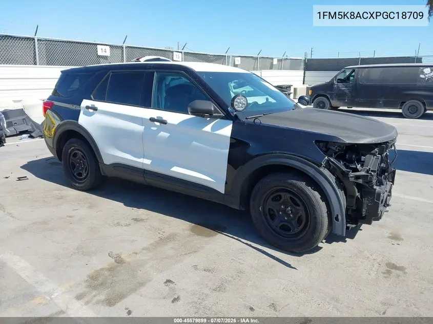 2023 Ford Police