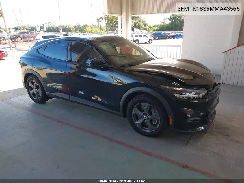 2021 Ford Mustang Mach-E