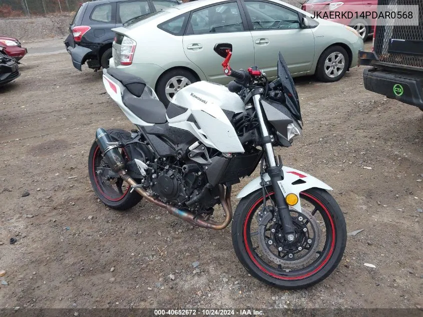 2023 Kawasaki er