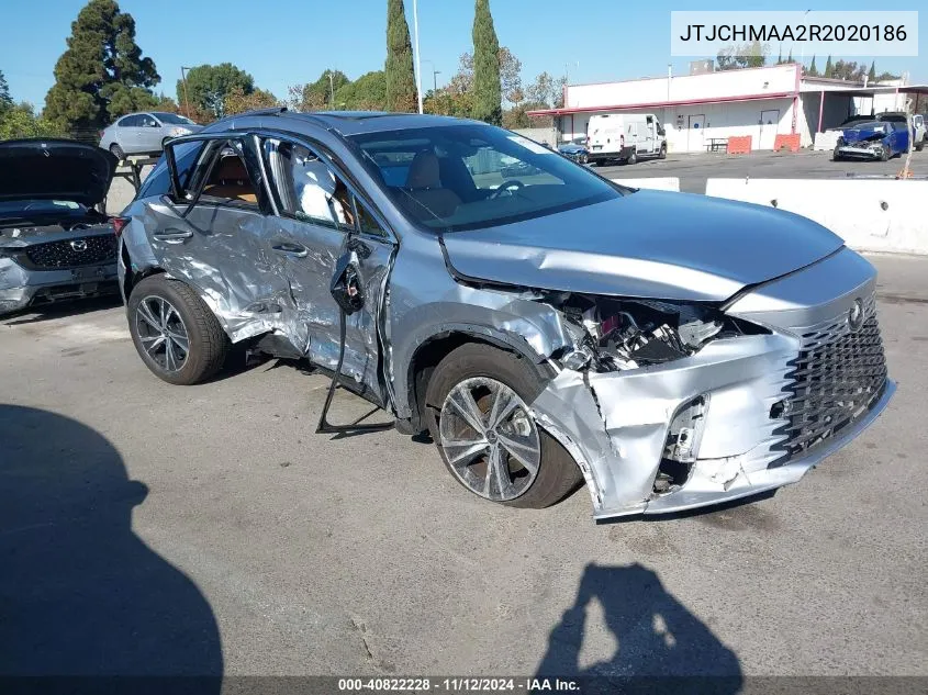 2024 Lexus RX