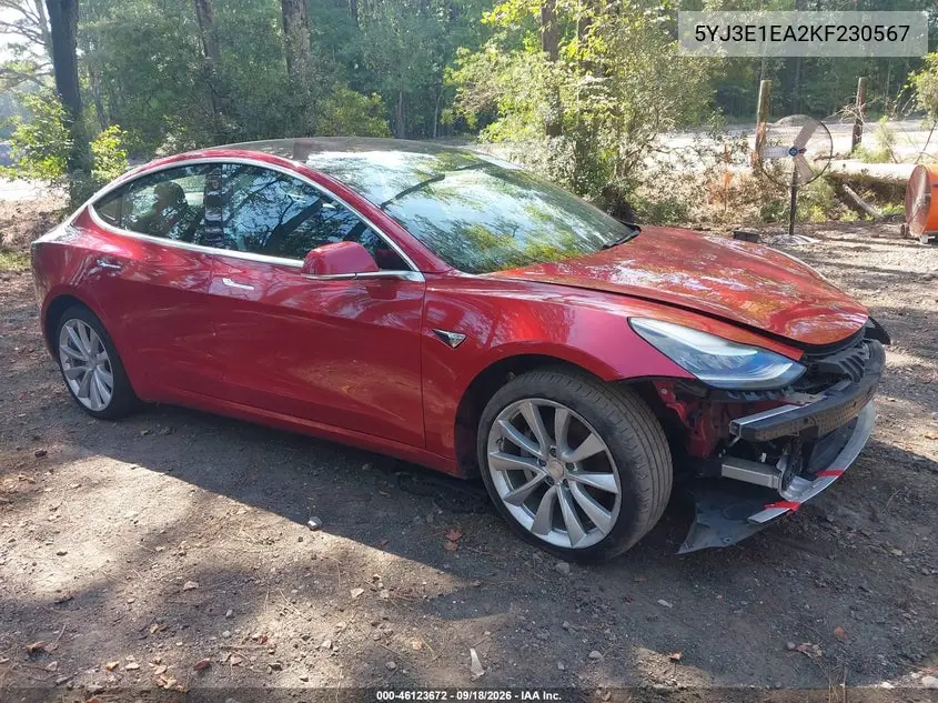 2019 Tesla Model 3