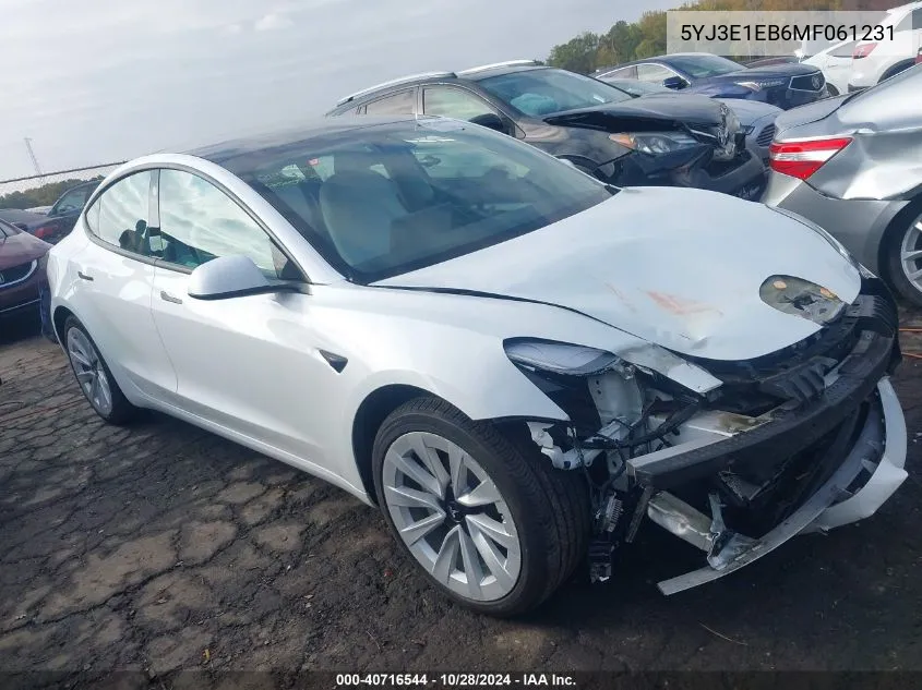 2021 Tesla Model 3