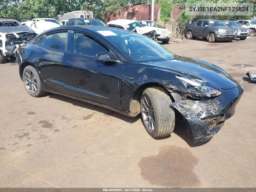2022 Tesla Model 3