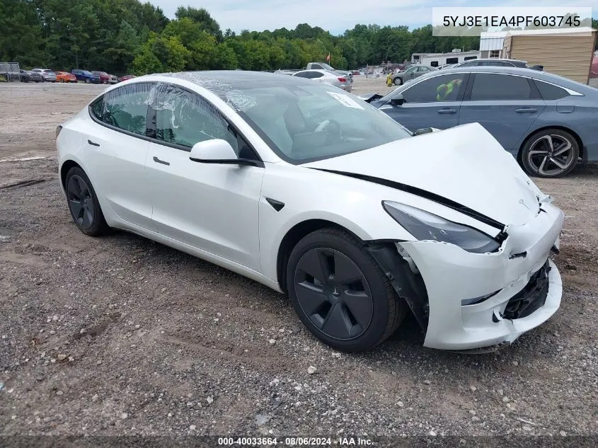2023 Tesla Model 3