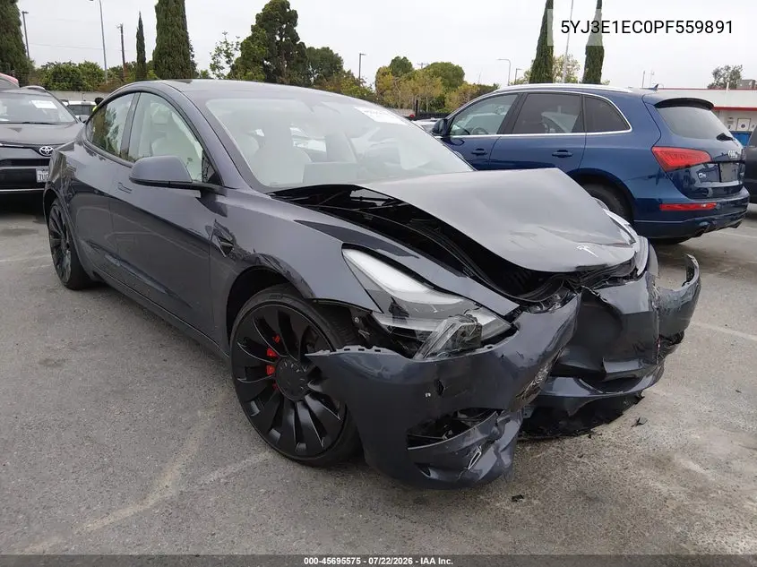 2023 Tesla Model 3
