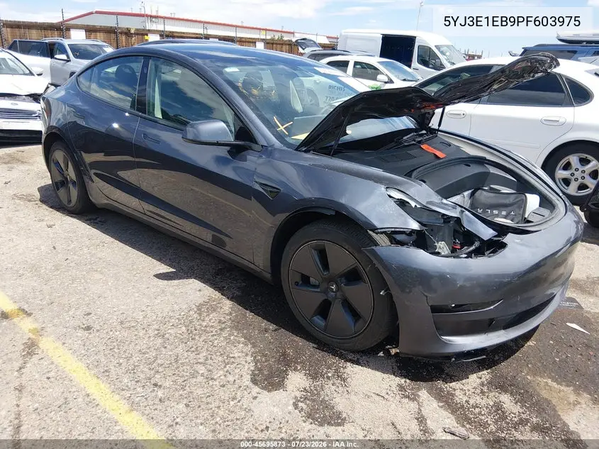 2023 Tesla Model 3