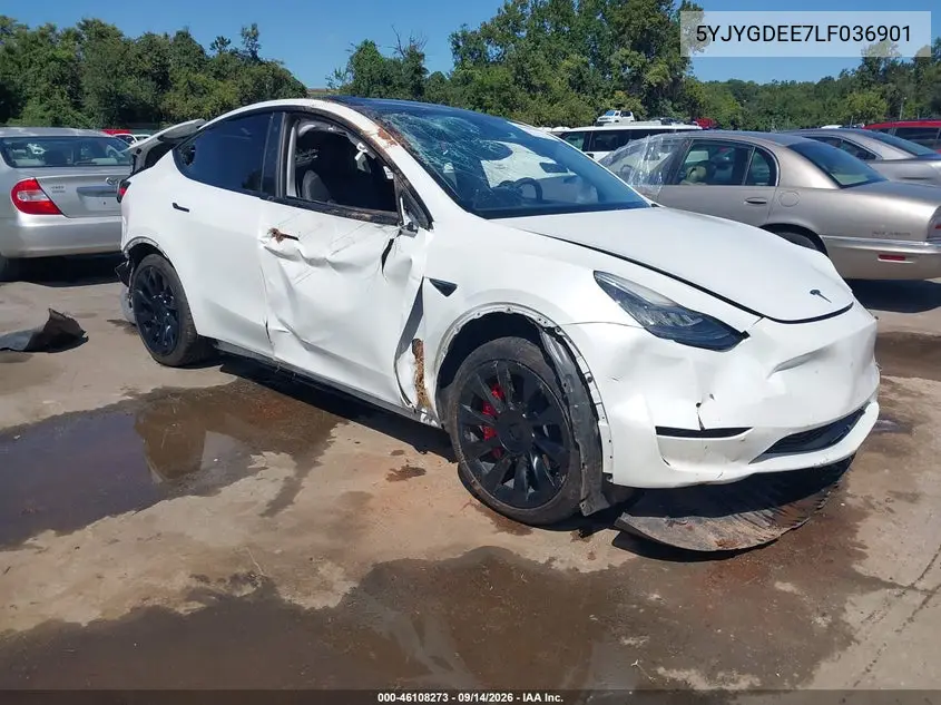2020 Tesla Model Y