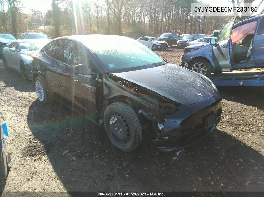 2021 Tesla Model Y