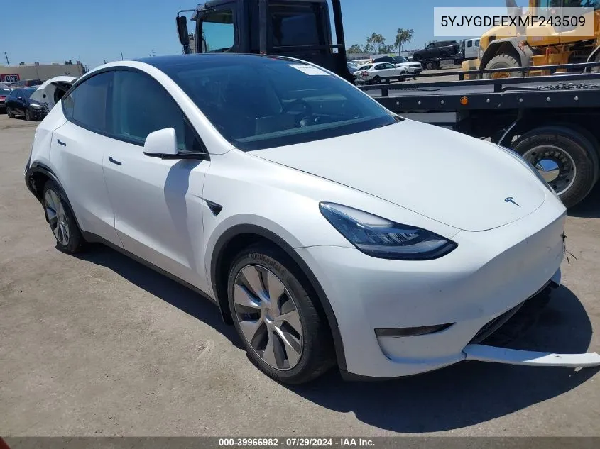 2021 Tesla Model Y