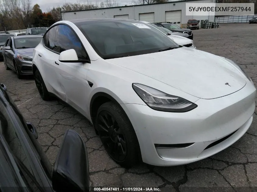 2021 Tesla Model Y