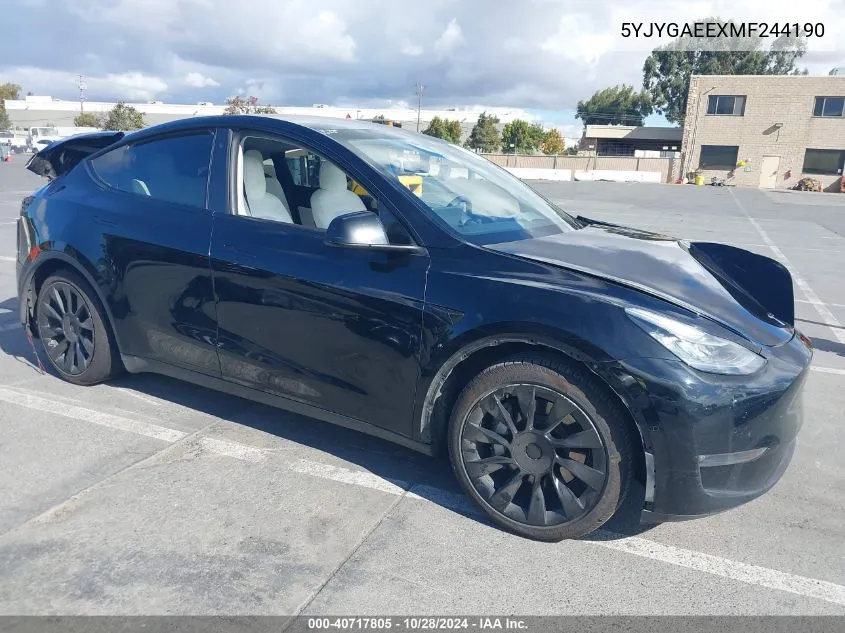 2021 Tesla Model Y