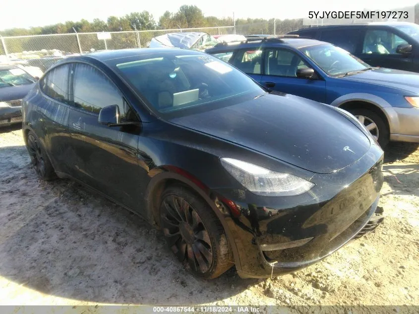 2021 Tesla Model Y