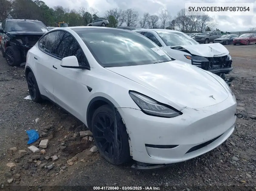 2021 Tesla Model Y