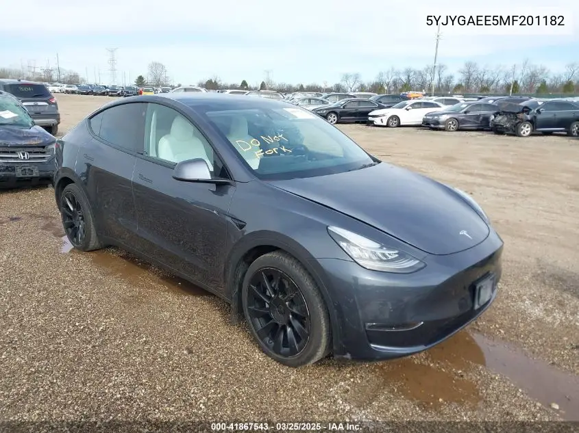 2021 Tesla Model Y