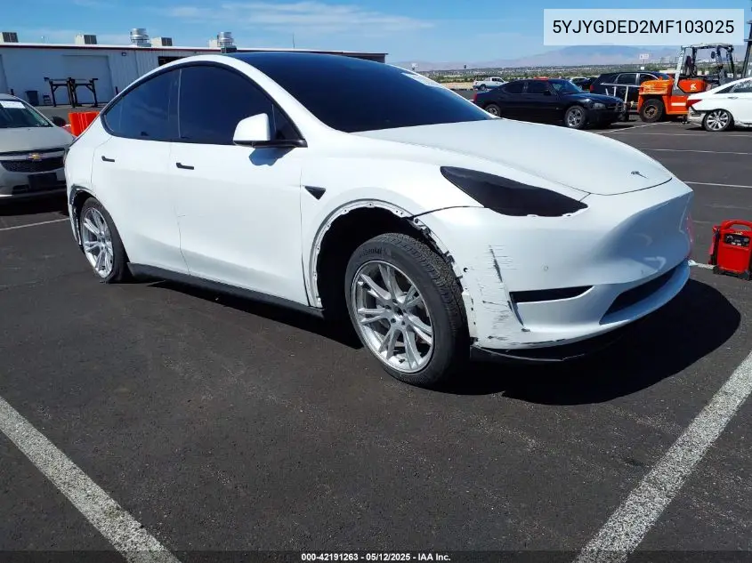 2021 Tesla Model Y
