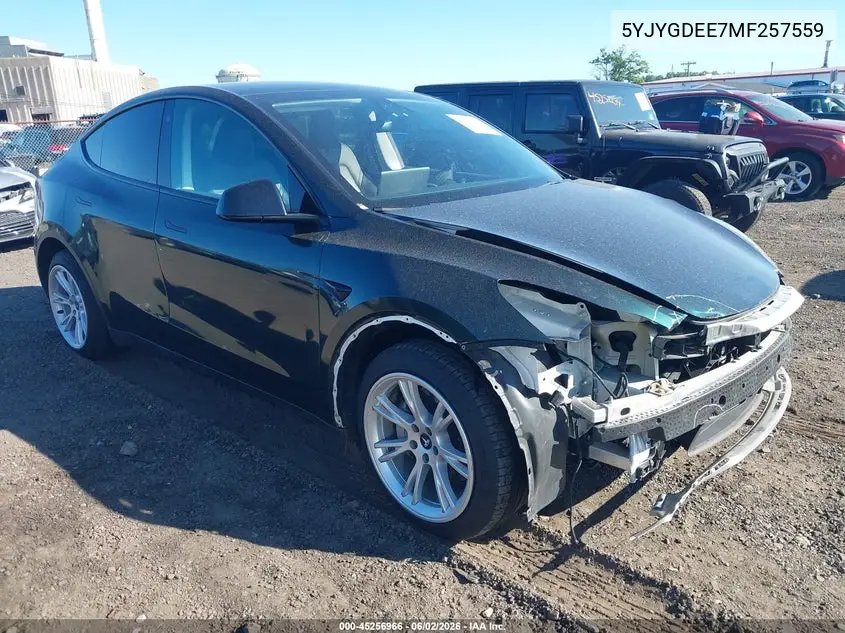 2021 Tesla Model Y