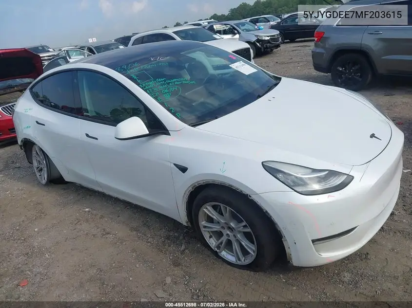 2021 Tesla Model Y