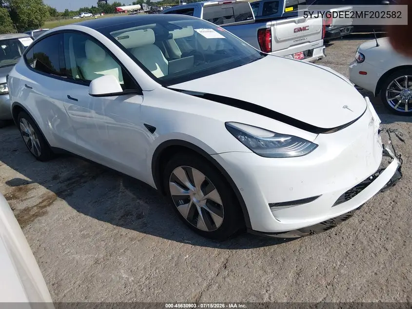 2021 Tesla Model Y