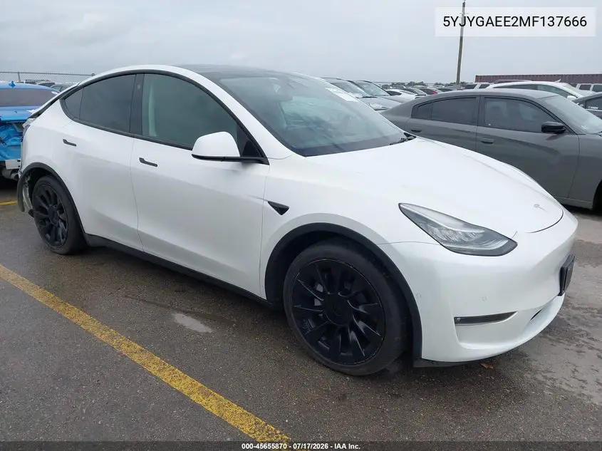 2021 Tesla Model Y