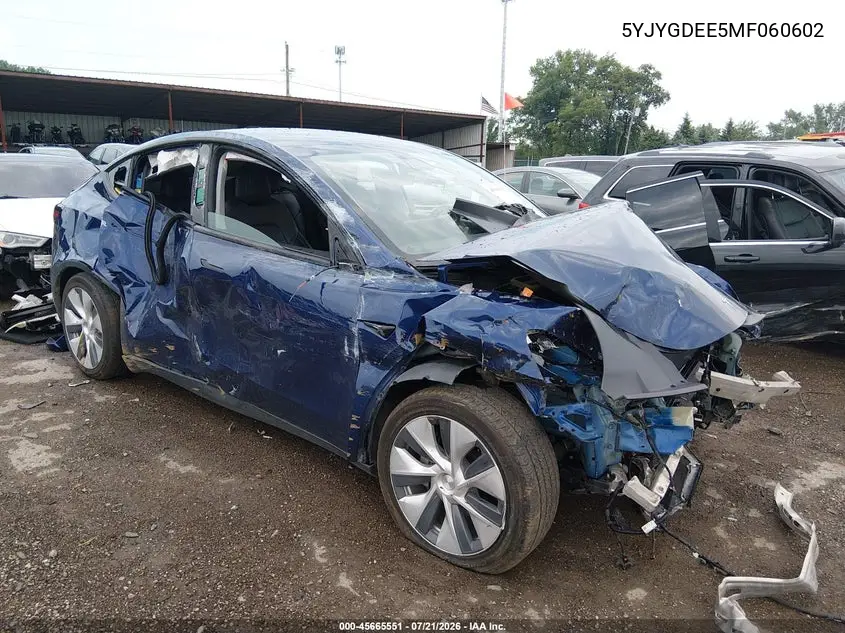 2021 Tesla Model Y