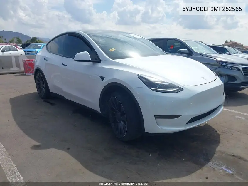 2021 Tesla Model Y