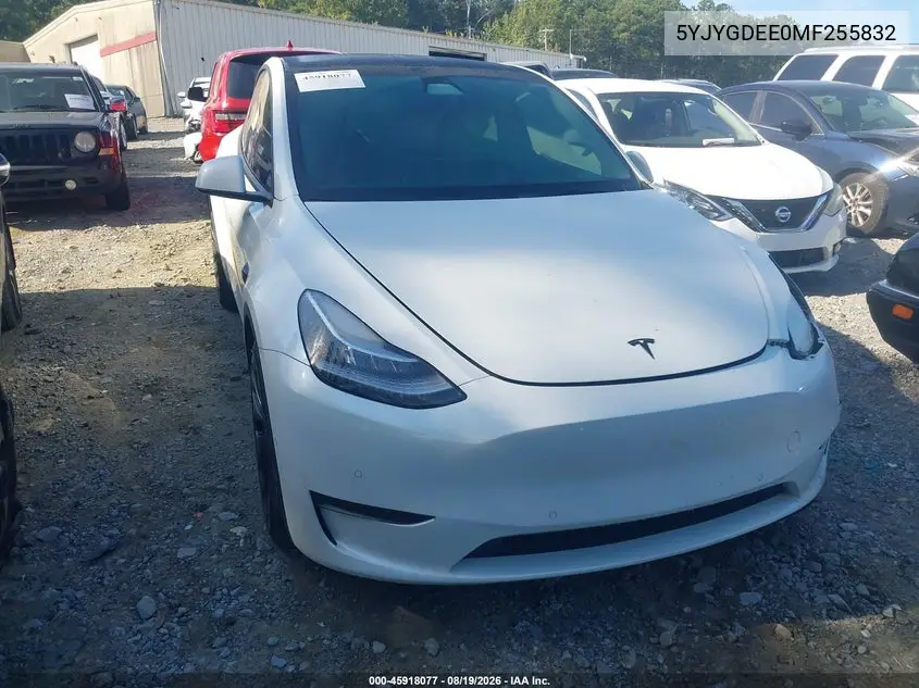 2021 Tesla Model Y