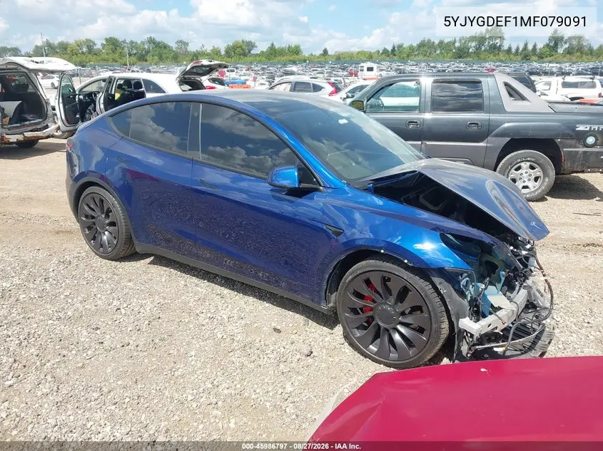 2021 Tesla Model Y