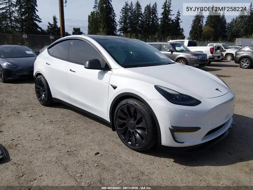 2021 Tesla Model Y