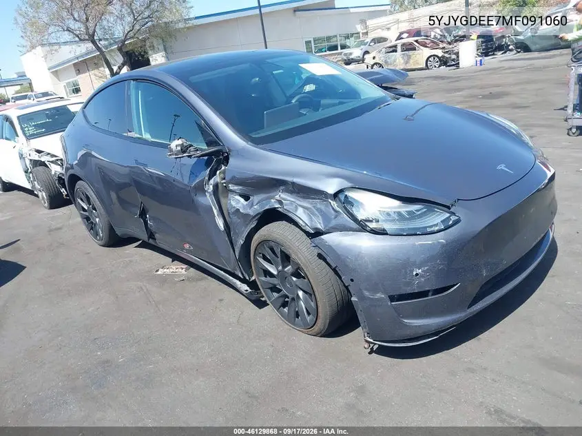 2021 Tesla Model Y
