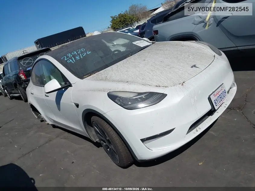 2021 Tesla Model Y