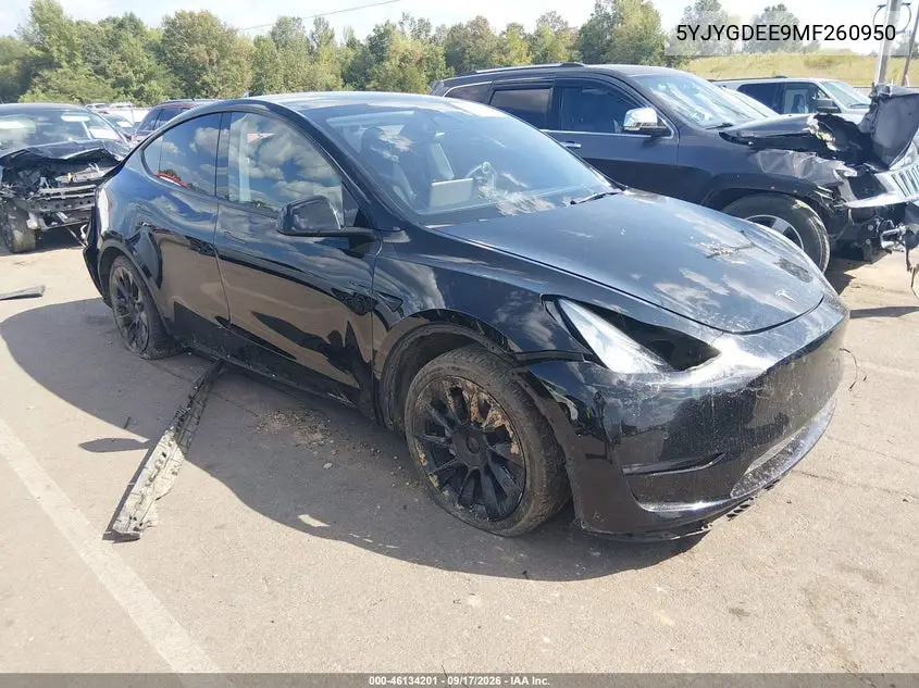 2021 Tesla Model Y